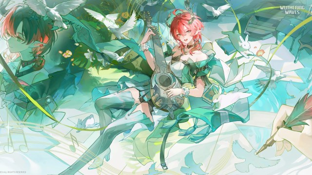 Should You Pull for Ciaccona in Wuthering Waves 2.6?