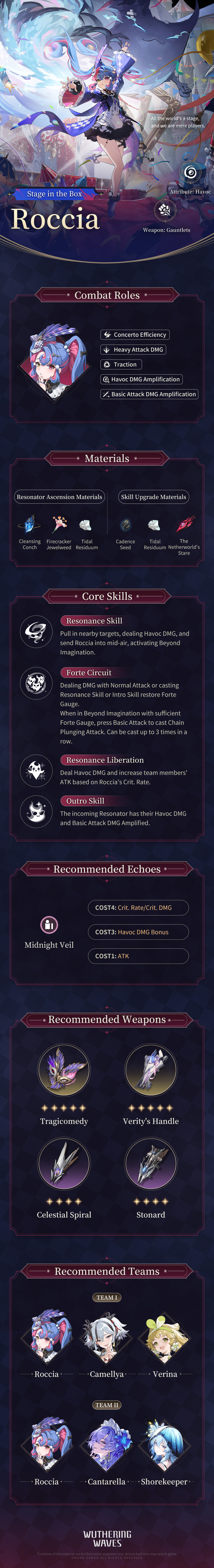 Wuthering Waves Resonator Leak 4