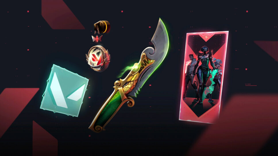 VALORANT Beta Remastered Bundle preview